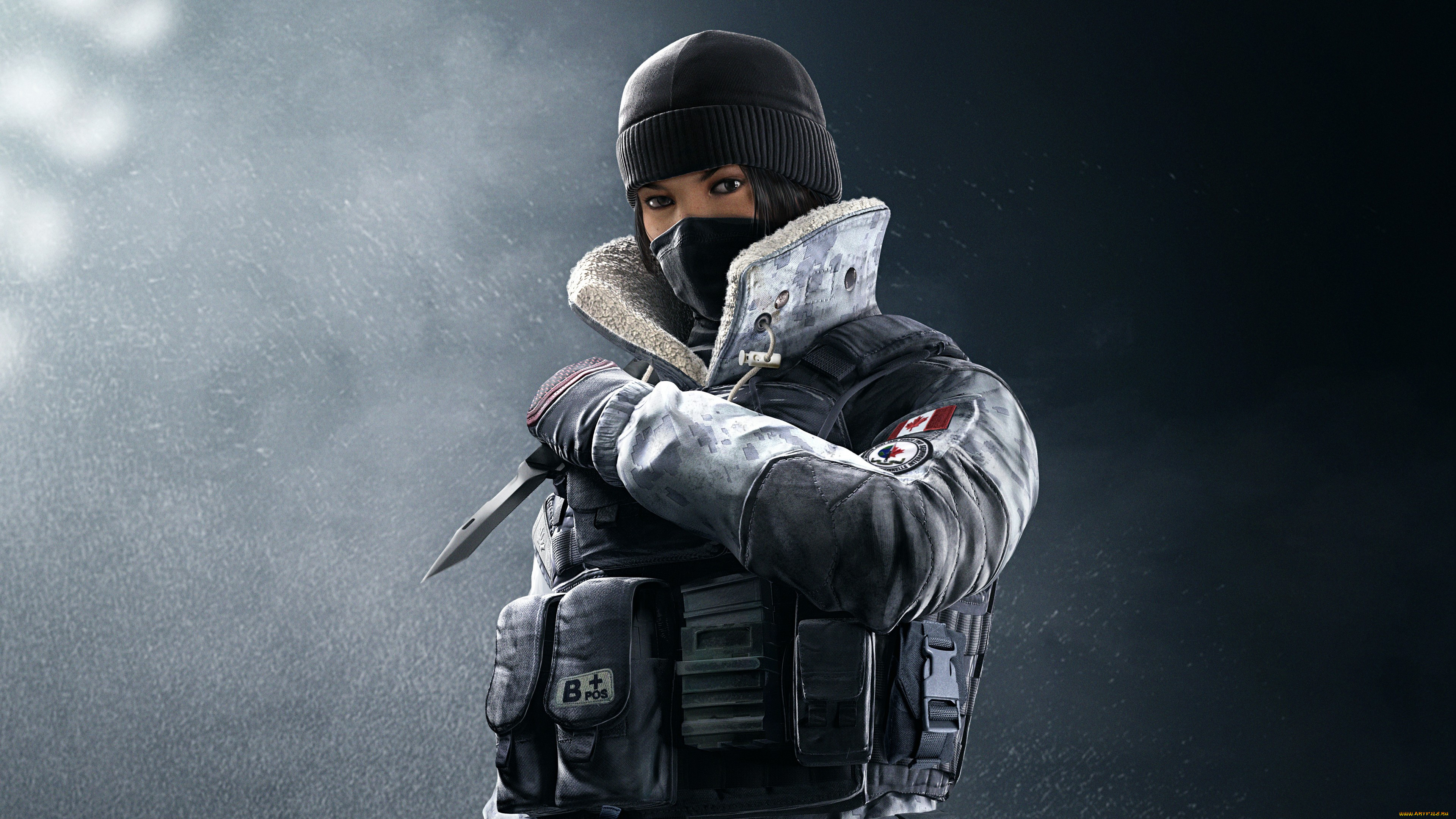  , tom clancy`s rainbow six,  siege, siege, , action, , tom, clancy`s, rainbow, six